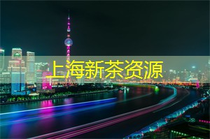 上海新茶工作室：挑战味蕾的极限！上海新茶工作室推出惊艳的茶饮组合