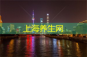 职业生涯与文化交流:上海的话题 职业生涯与文化交流:上海的话题