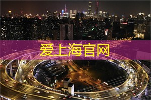 走进上海的夜晚文化