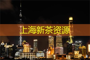 上海的低碳骑行活动 上海的低碳骑行活动