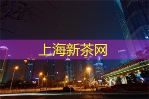 上海娱乐网：上海的酒店艺术展览品位