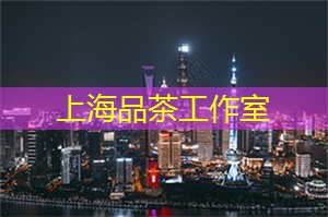 醉倒在夜色中的魔都探险 醉倒在夜色中的魔都探险